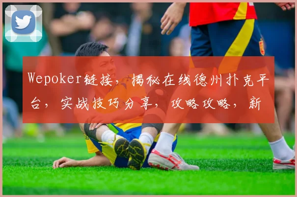 Wepoker链接，揭秘在线德州扑克平台，实战技巧分享，攻略攻略，新手必看